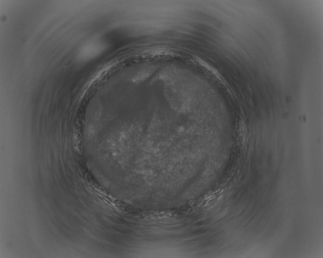 X0000073410823200608251522