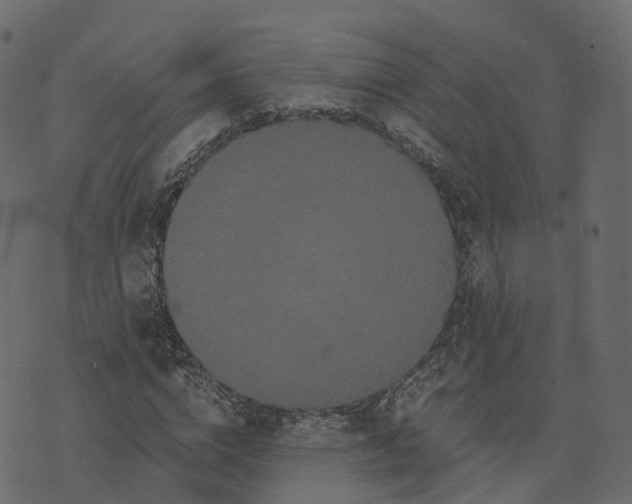 X0000073410824200608251522