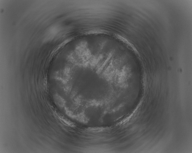 X0000073410825200608251522