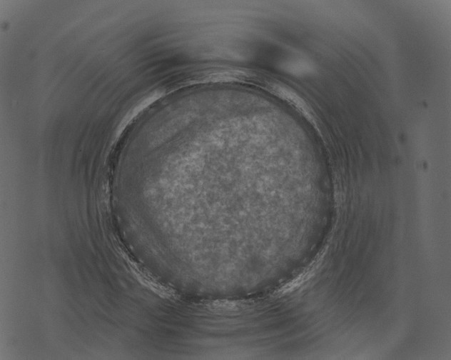 X0000073410827200608251522