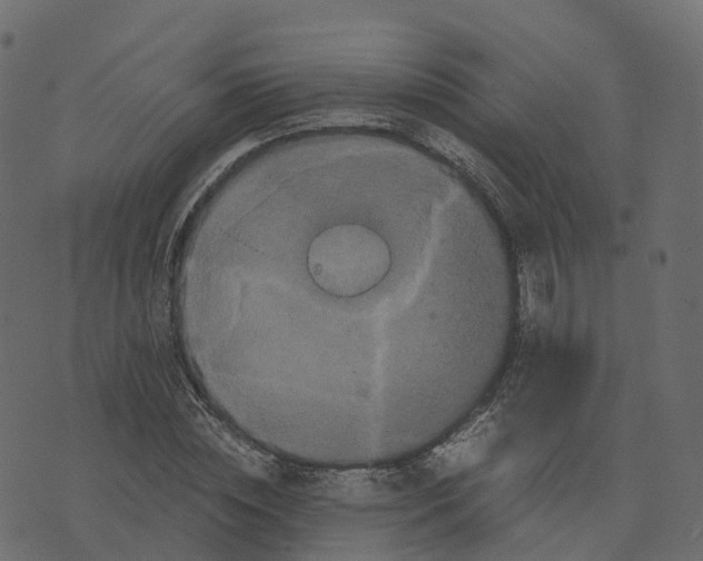 X0000073410828200608251522