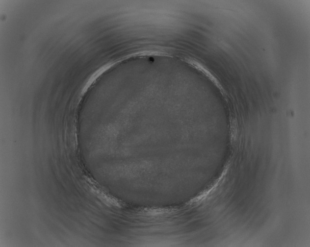 X0000073410829200608251522