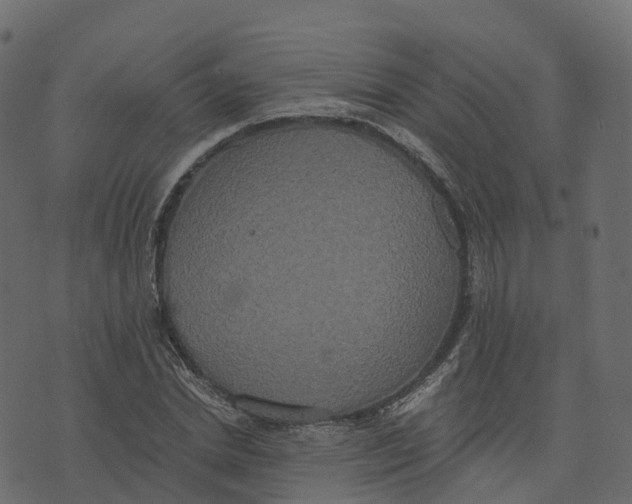 X0000073410830200608251523