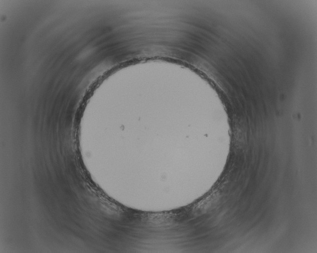 X0000073410832200608251523