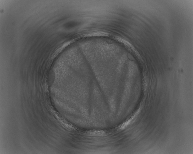 X0000073410833200608251523