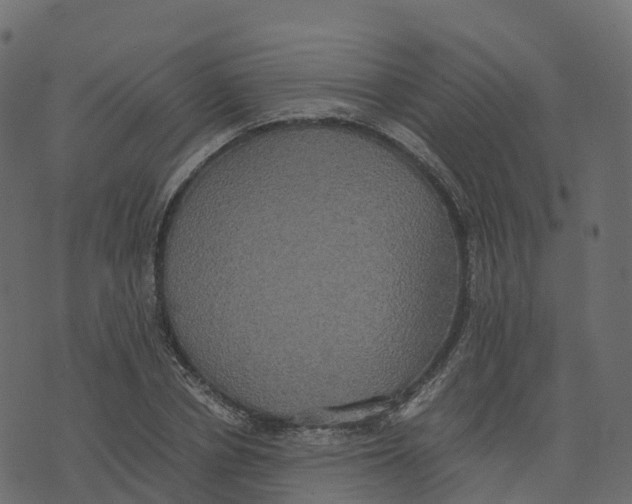 X0000073410834200608251523