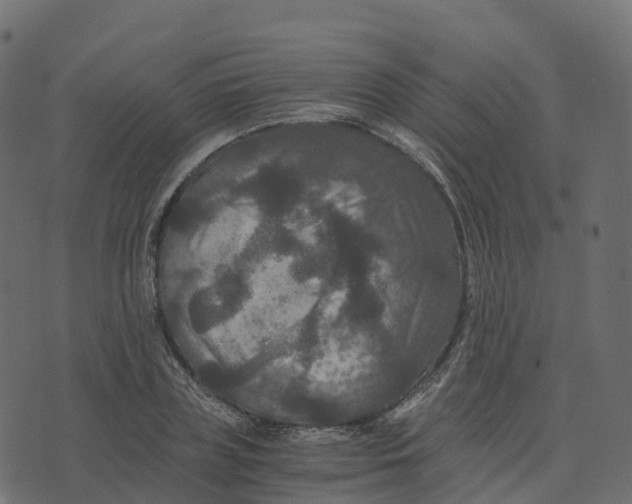 X0000073410835200608251523