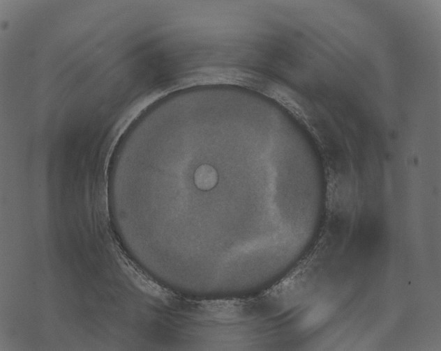 X0000073410836200608251523