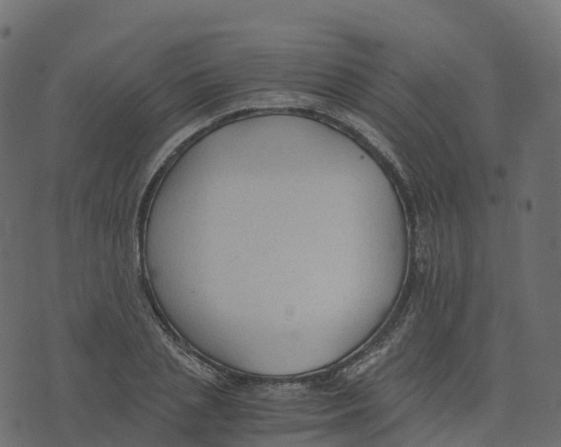 X0000073410837200608251523