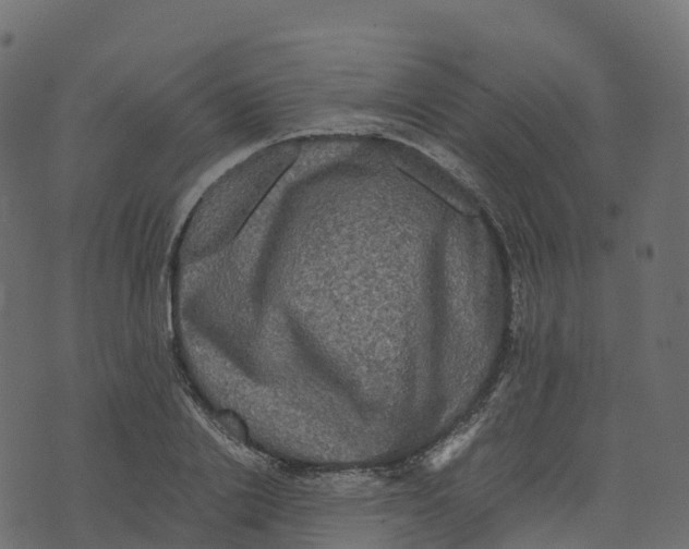 X0000073410838200608251523