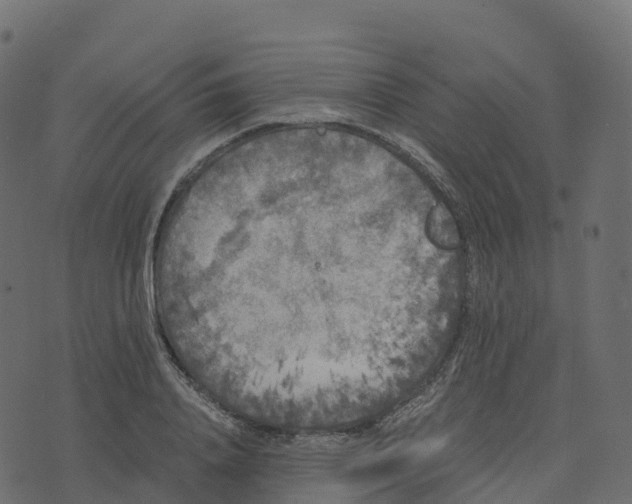 X0000073410840200608251523