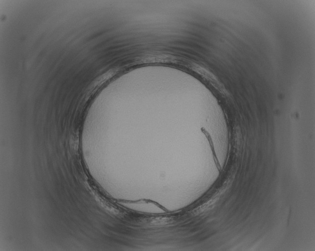 X0000073410841200608251523