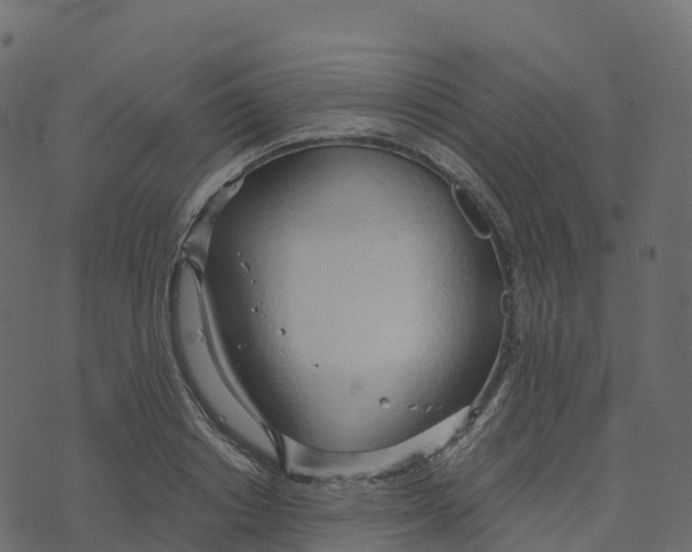 X0000073410842200608251523