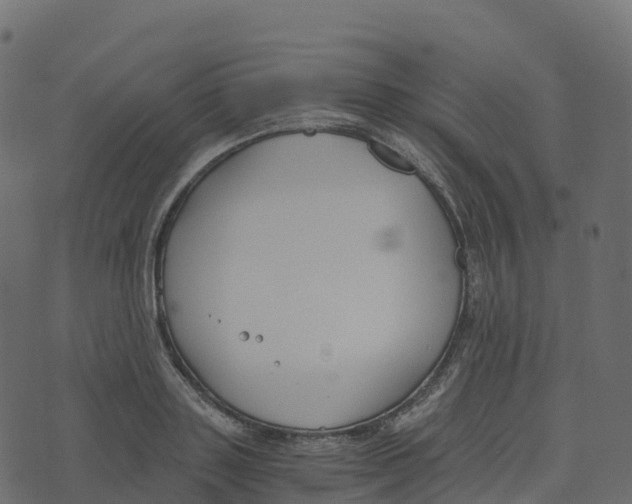 X0000073410843200608251523