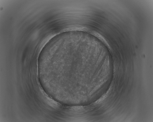 X0000073410844200608251523