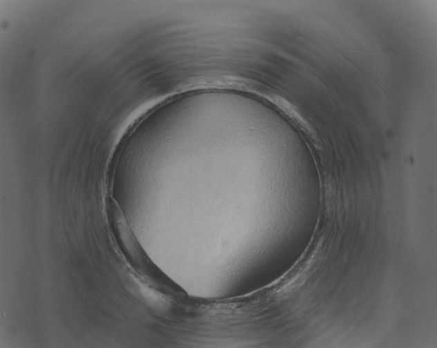 X0000073410846200608251523