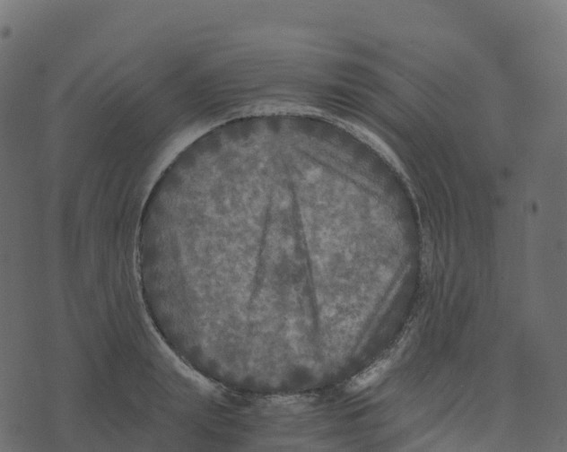 X0000073410847200608251523