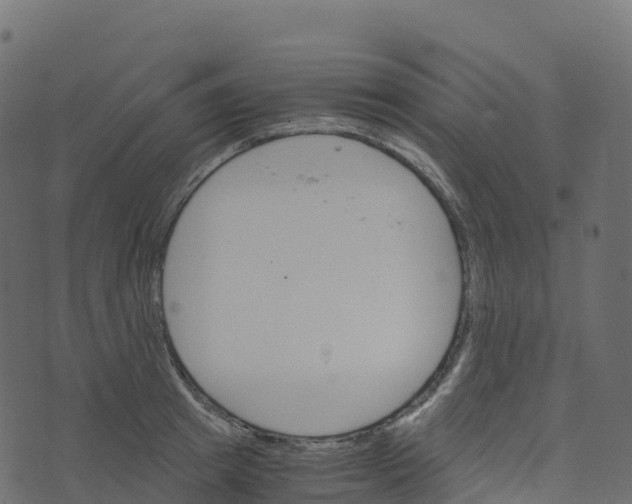 X0000073410849200608251523