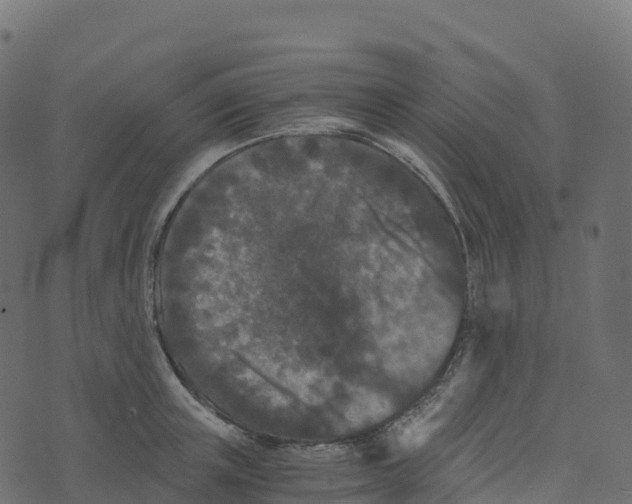 X0000073410851200608251523