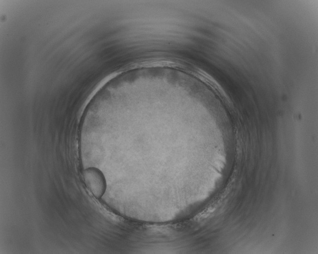 X0000073410852200608251523