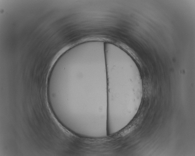 X0000073410853200608251523