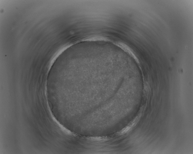 X0000073410855200608251523