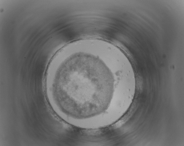 X0000073410856200608251523