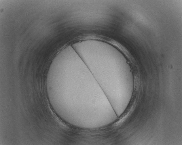 X0000073410857200608251523