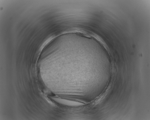 X0000073410858200608251523