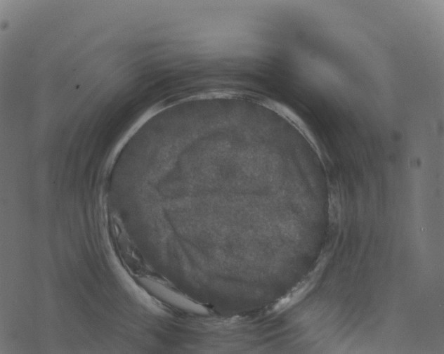 X0000073410859200608251523