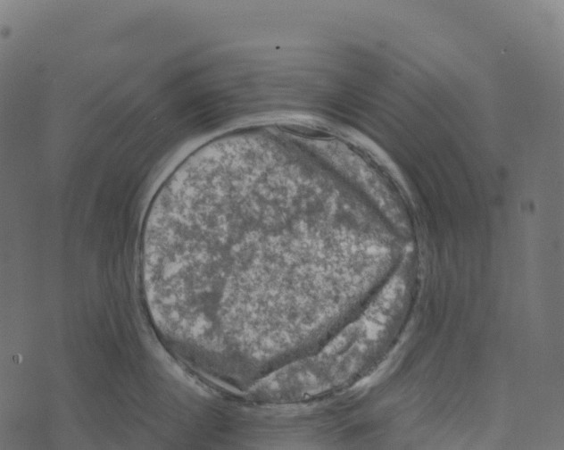 X0000073410860200608251523