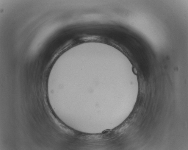 X0000073410861200608251523