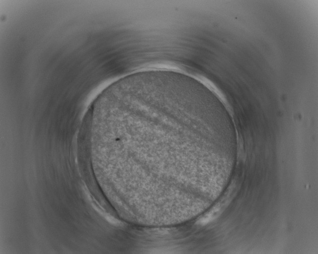 X0000073410862200608251523