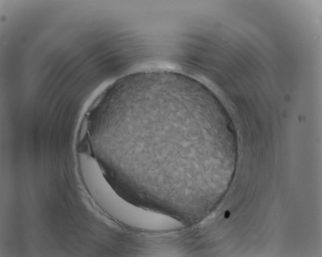 X0000073410864200608251523