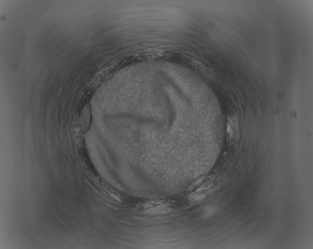 X0000073410867200608251522