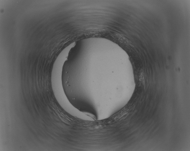 X0000073410868200608251522