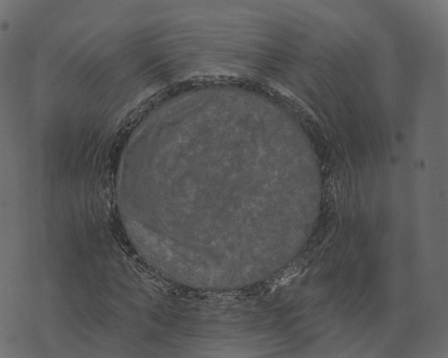 X0000073410870200608251522