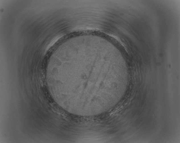 X0000073410871200608251522