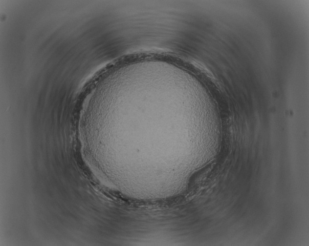 X0000073410872200608251522