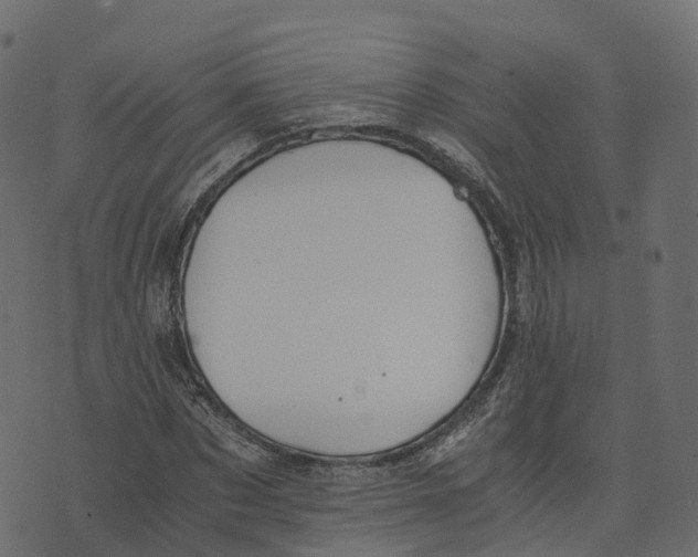 X0000073410873200608251522