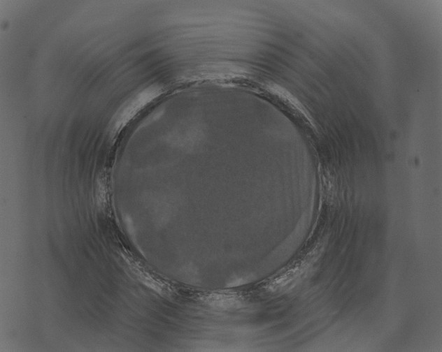 X0000073410874200608251522