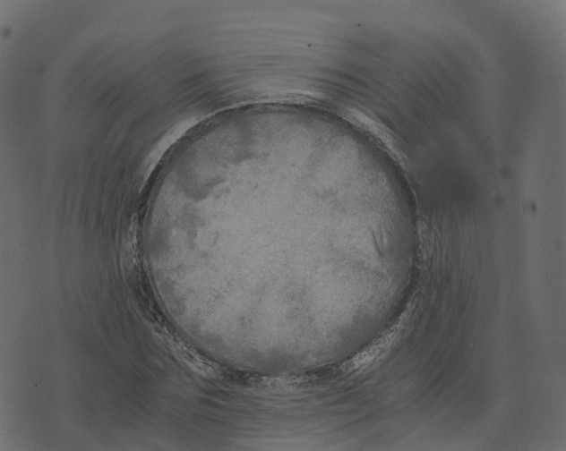 X0000073410875200608251522