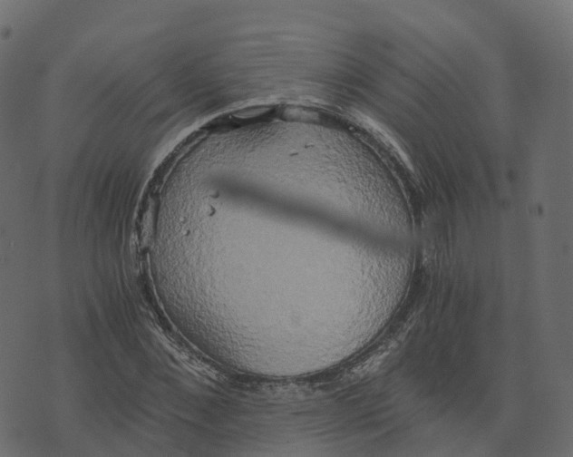 X0000073410876200608251522