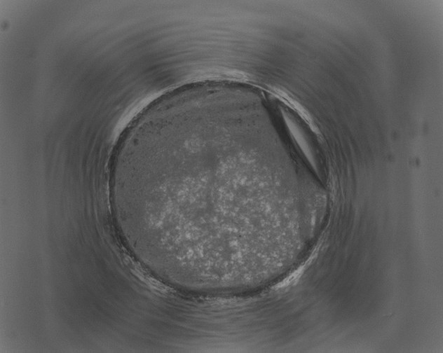 X0000073410877200608251522