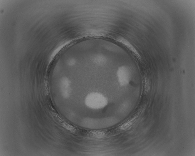 X0000073410878200608251522