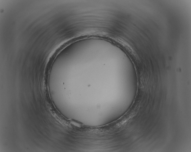 X0000073410880200608251522