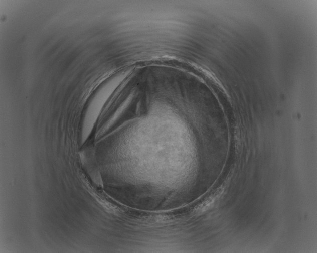 X0000073410881200608251522