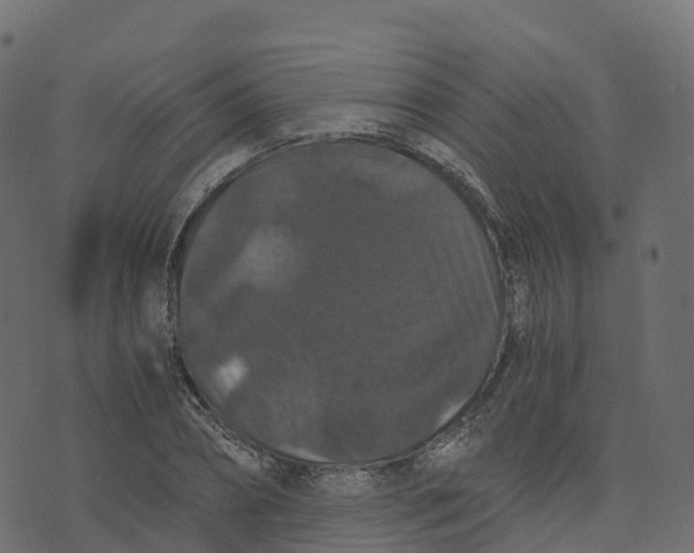 X0000073410882200608251522