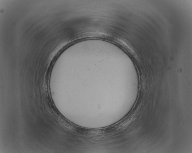 X0000073410883200608251522