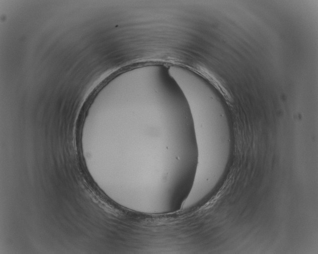 X0000073410884200608251522